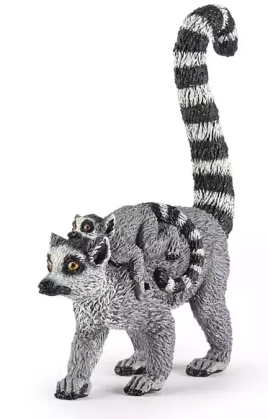 Lemur z młodym zdjęcie 1