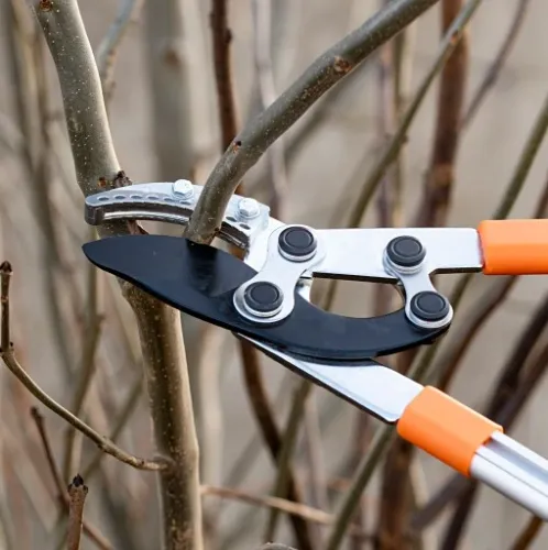 SEKATOR TELESKOPOWY KOWADEŁKOWY DO GAŁĘZI KRZEWÓW PĘDÓW OGRODOWY + RĘKAWICE na Arena.pl