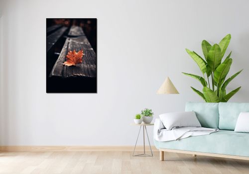 Plakat 67,5x100cm Pojedynczy Liść na Arena.pl