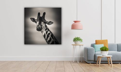 OBRAZ NA PŁÓTNIE 128 Żyrafa 60x60cm na Arena.pl