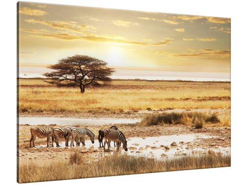 Obraz Safari 100x70 PANORAMA na Arena.pl