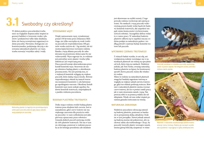 Dobra praktyka pszczelarska zdjęcie 2