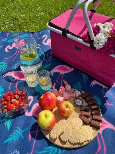 Kosz piknikowy termiczny koszyk piknikowy składany biwakowy zakupy ZAGATTO na Arena.pl