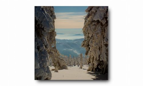 OBRAZ NA PŁÓTNIE 122 Zima 60x60cm na Arena.pl