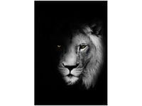 OBRAZ DUCH MROK LEW CIEŃ CZARNO-BIAŁY