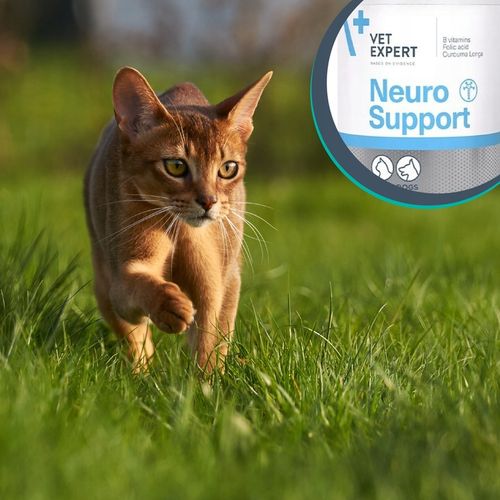 Preparat dla psów kotów na układ nerwowy Vet Expert Neurosupport 45 kaps na Arena.pl