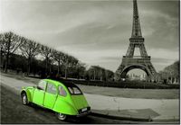 100 70CM OBRAZ PŁÓTNO LIMONKOWA KACZKA PŁÓTNO RAMA