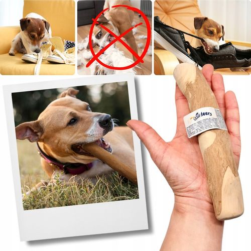 PATYK Z DRZEWA KAWOWEGO M NATURALNY KAWOWY GRYZAK DLA PSA WYTRZYMAŁY ŚREDNI na Arena.pl