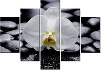 105CM 150CM OBRAZ 5 ELEM BIAŁY STORCZYK DRUK