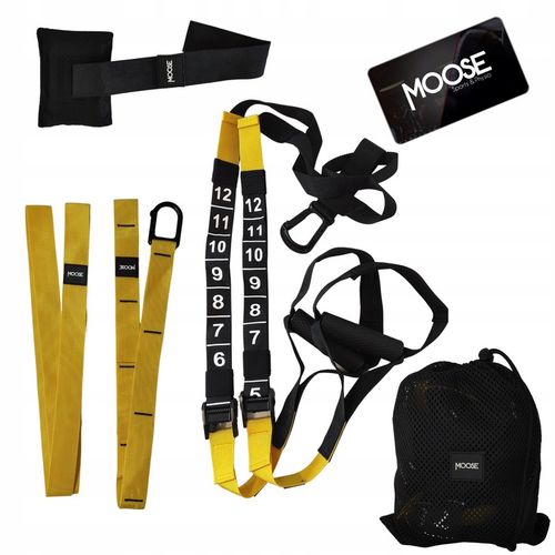 TAŚMY DO ĆWICZEŃ TRX PRO PASY TRENINGOWE PODWIESZANE Z MIARKĄ CROSSFIT HQ na Arena.pl