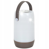 TURYSTYCZNA Lampka DOTYKOWA NA BATERIE Poire LED