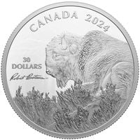 Canada: Weather Watch - Bison $30 Srebro 2024 Proof