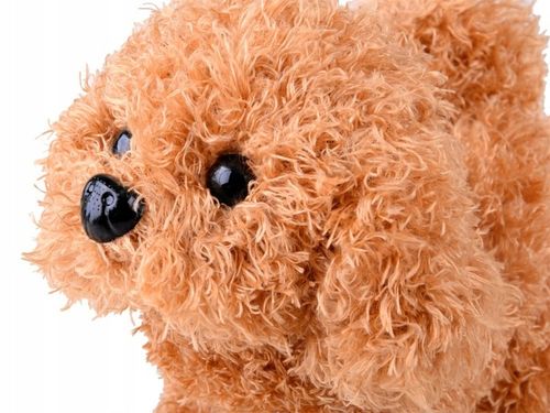 Interaktywny Piesek Zestaw Mały Weterynarz Lekarz na Arena.pl