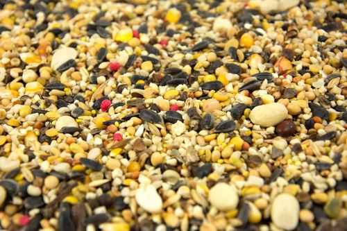 KARMA POKARM ZIARNO SŁONECZNIK DO KARMNIK DLA DZIKICH PTAKÓW ZIMUJĄCYCH na Arena.pl