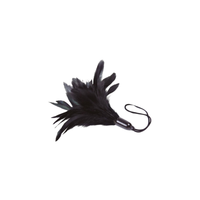 feather tickler black - prestiżowe pióra adrien lastic