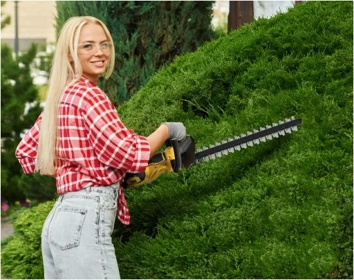 NOŻYCE DO ŻYWOPŁOTU AKUMULATOROWE DO KRZEWÓW IMOUM AKUMULATOR ZESTAW 21V zdjęcie 15