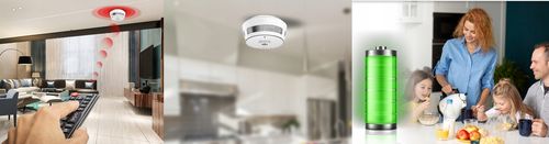 Alarm pożarowy SAFE 10Y30-PRO na Arena.pl