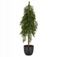 product-compare-61536519