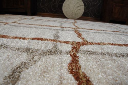 Dywan SHADOW 9359 cream / rust 200x290 cm na Arena.pl