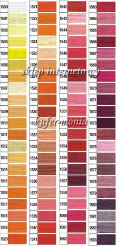 Mulina Ariadna na Arena.pl