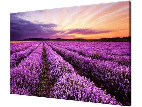 Obraz drukowany na płótnie canvas 120x80 + GRATIS na Arena.pl