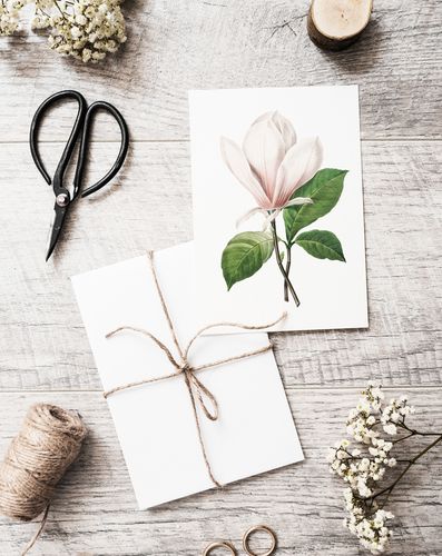 Plakat cyfrowy do wydruku vintage magnolia na Arena.pl