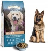 DIVINUS ADULT KARMA DLA OWCZARKA NIEMIECKIEGO 20KG