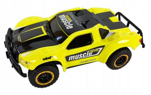 AUTO Samochód Sterowany RC Pilot Deextech na Arena.pl