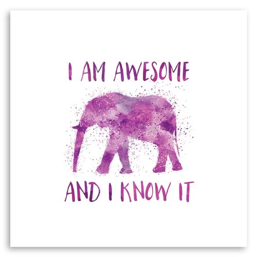 Obraz na płótnie – Canvas, I am awesome 80x80 na Arena.pl
