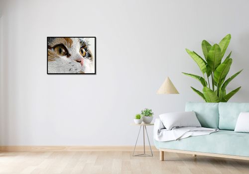 Plakat 65x50cm Nitkowany Kot na Arena.pl