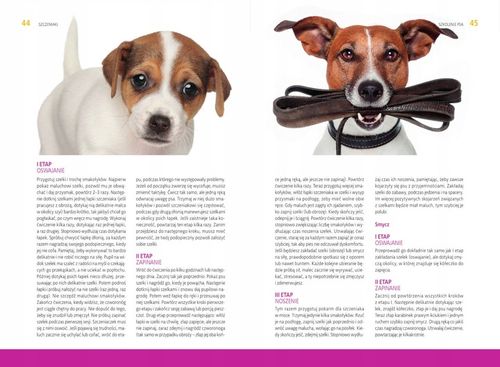 Szkolenie psa Jak tresować psa Poradnik książka + Kliker CLICKER Trening na Arena.pl