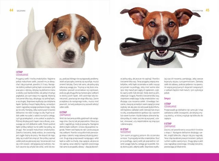 Szkolenie psa Jak tresować psa Poradnik książka + Kliker CLICKER Trening zdjęcie 5