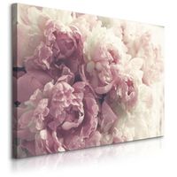 Obraz Na Płótnie Piwonie Peonie Kwiaty Natura Do Salonu 120cm x 80cm