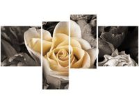 product-compare-58710578