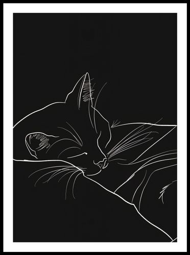 Plakat 50x70cm Nocny Spokój na Arena.pl