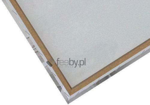 Obraz na płótnie - Canvas, Magnolia 70x100 na Arena.pl