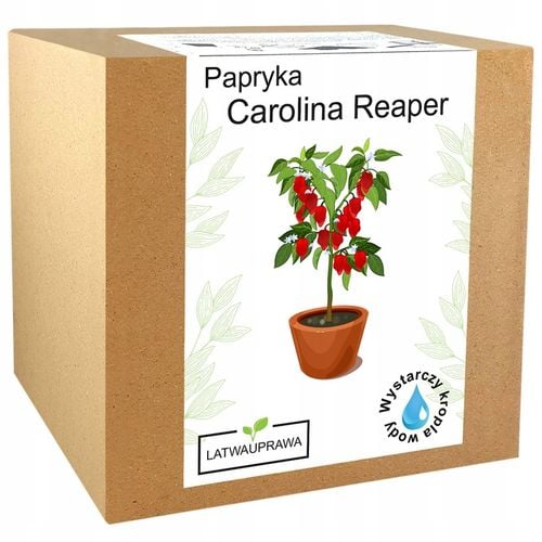 ZESTAW DO UPRAWY PAPRYKA CAROLINA REAPER HP22B RED NASIONA NAJOSTRZEJSZA na Arena.pl