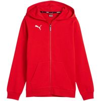 Bluza dla dzieci Puma teamGoal Casuals Hooded czerwona 658596 01 140 cm