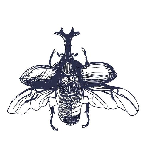 Deco Panel, Lecący żuk 60x90 na Arena.pl