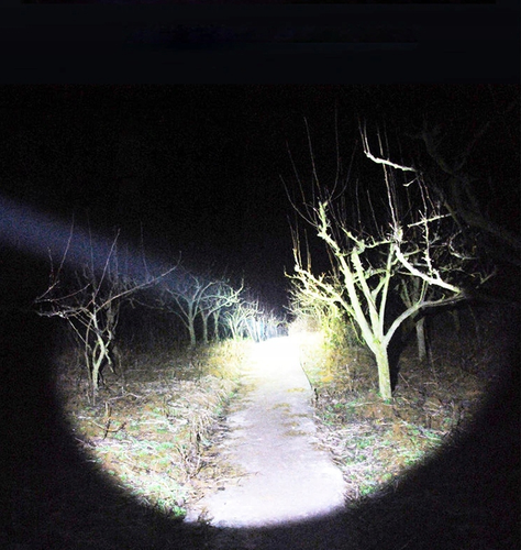 Latarka taktyczna na Arena.pl