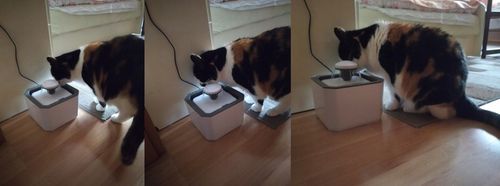 POIDEŁKO MISKA POIDŁO CICHA FONTANNA DLA KOTA PSA 2,5L na Arena.pl