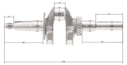 Wał korbowy Cedrus wertykulator WR01 15310-E030050-00000 na Arena.pl