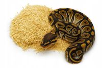 product-compare-61471937