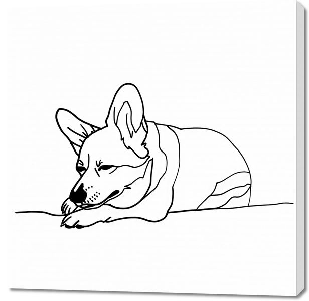 Obraz 100x100cm Śpiący Corgacz zdjęcie 1