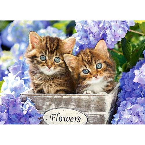 PUZZLE 60EL. CUTE KITTENS na Arena.pl
