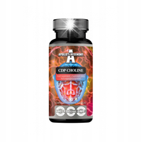 APOLLO'S HEGEMONY CDP Choline 90 kaps. cholina cytykolina