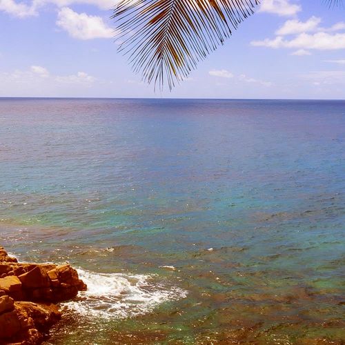 Deco Panel, Skała w morzu 60x40 na Arena.pl