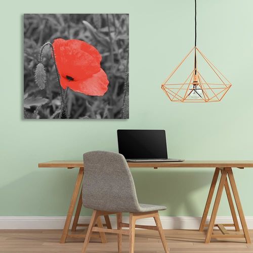 Deco Panel, Czerwony mak w szarości 40x40 na Arena.pl