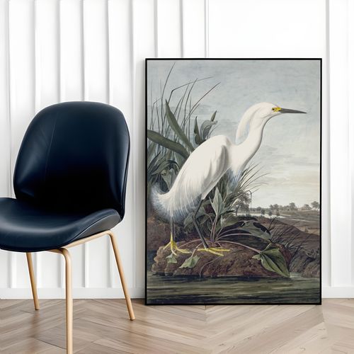 Plakat biały ptak mokradła bagna 61x91 cm w czarnej ramie na Arena.pl