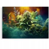 2 x Obraz 120x80 marihuana zioło konopie kobieta art